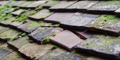Langham roof repair costs